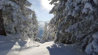 开云入口-全国高山滑雪公开赛新王加冕，高山滑雪第四届