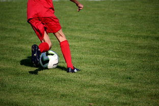 开云中国大陆-意甲青训体系融合心理韧性训练提升比赛表现