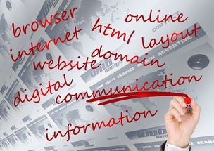 开云kaiyun-校园体育赛事品牌建设路径与传播策略研究，校园体育竞赛体系