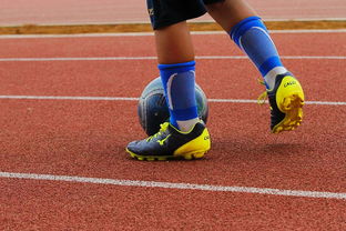 开云官网APP下载-明星球员带动体育产业发展，打造体育明星的弊端